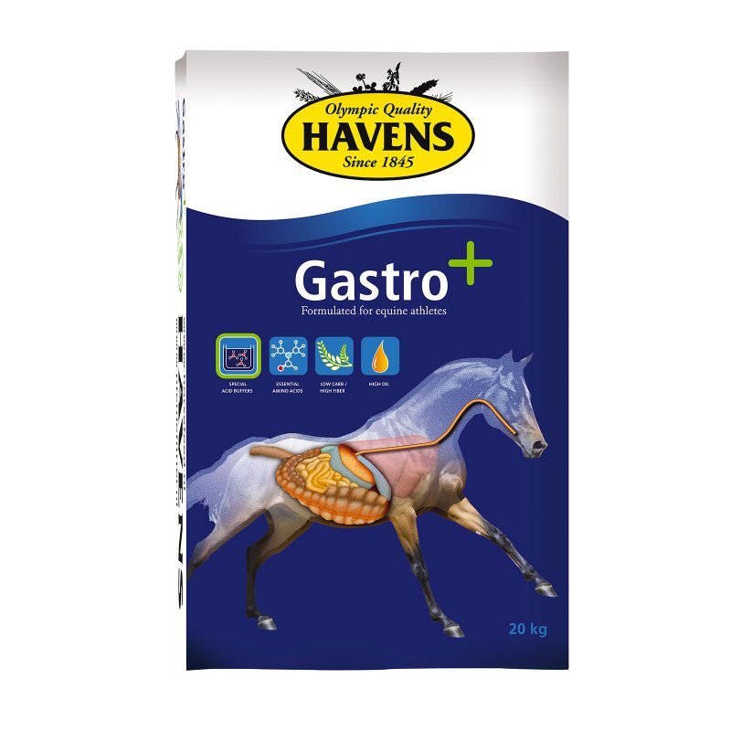 Gastro plus 20kg